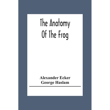 The Anatomy Of The Frog