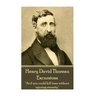 Henry David Thoreau - Excursions: "As if you could kill time without injuring eternity."