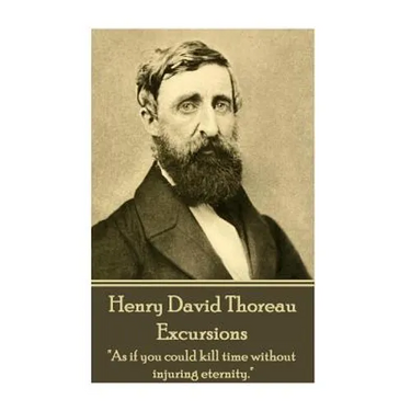 Henry David Thoreau - Excursions: "As if you could kill time without injuring eternity."