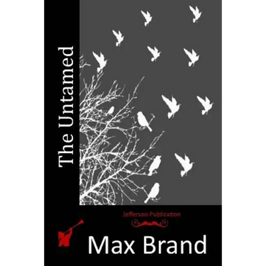 The Untamed