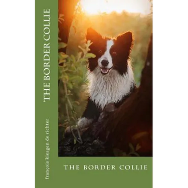 The border collie: the border collie