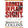 Broken in Plain Sight: A Story of Truth, Healing, and Love