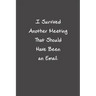 I Survived Another Meeting That Should Have Been An Email: Funny Office Gifts For Coworker