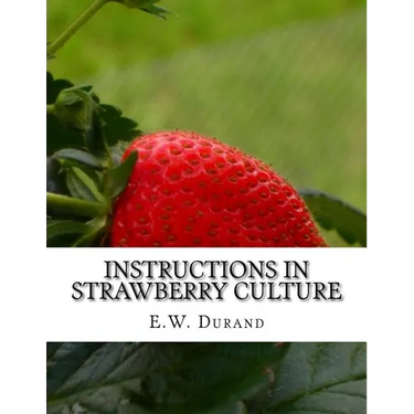 Instructions in Strawberry Culture: or, How To Grow Strawberries