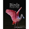 Birds: Intimate Images