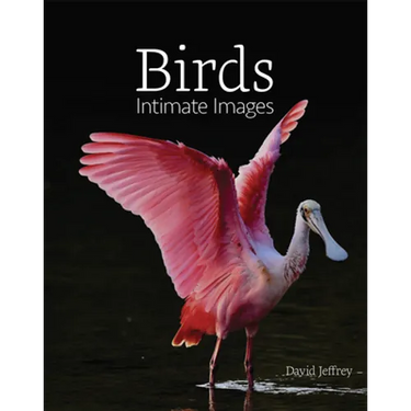 Birds: Intimate Images