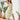 c9cf291a-f6e0-4862-b085-c2698eed02b7-Max