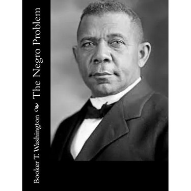 The Negro Problem
