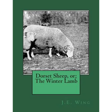 Dorset Sheep, or; The Winter Lamb