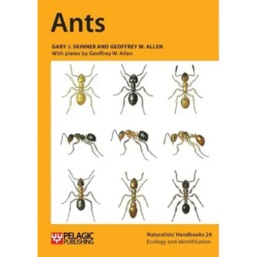 Ants