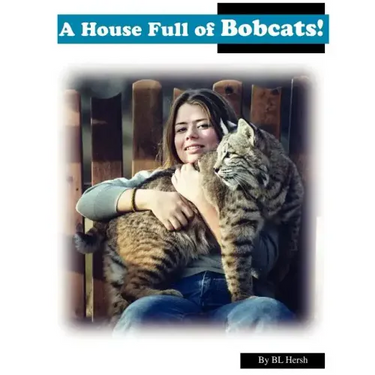A House Full of Bobcats!