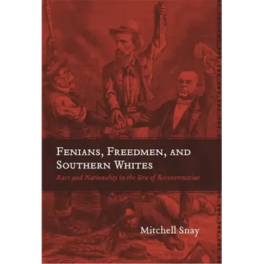 Fenians, Freedmen, and Southern Whites: Race and Nationality in the Era of Reconstruction