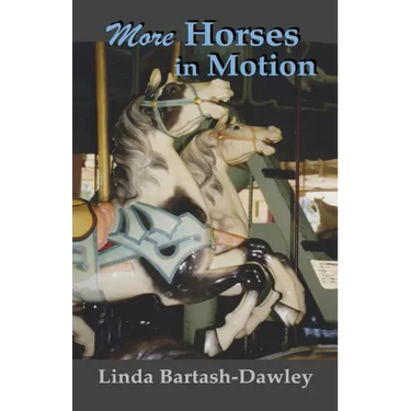 More Horses in Motion: A Second Look at Carousels in Monroe County, New York