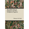 The Golden Verses of Pythagoras and Other Pythagorean Fragments