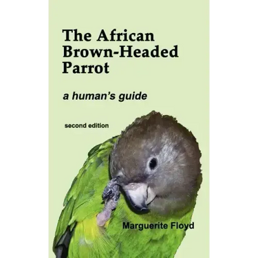 The African Brown-Headed Parrot