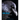 Bird Brain: An Exploration of Avian Intelligence