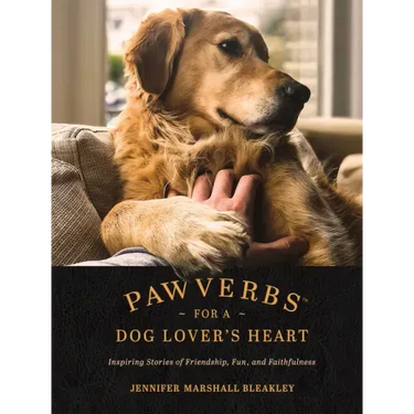 Pawverbs for a Dog Lover's Heart: Inspiring Stories of Friendship, Fun, and Faithfulness