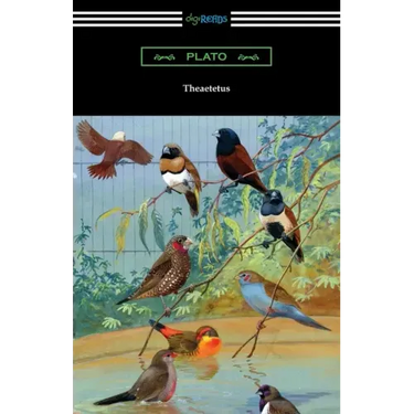 Theaetetus