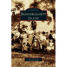 Blennerhassett Island