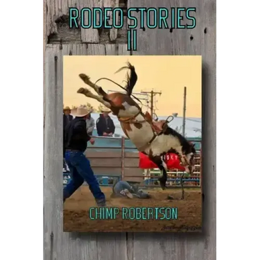 Rodeo Stories II