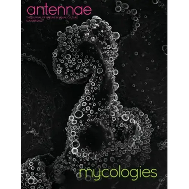 Antennae #58 Mycologies