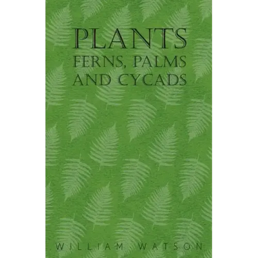 Plants - Ferns, Palms and Cycads