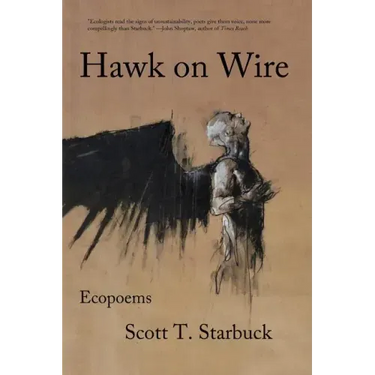 Hawk on Wire: Ecopoems