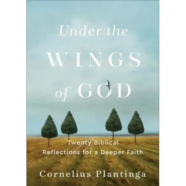 Under the Wings of God: Twenty Biblical Reflections for a Deeper Faith