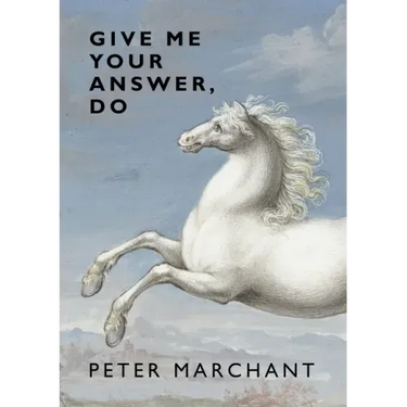 Give Me Your Answer, Do