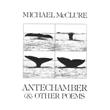Antechamber: And Other Poems