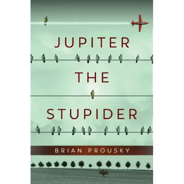 Jupiter the Stupider