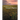 Encyclopedia of the Great Plains