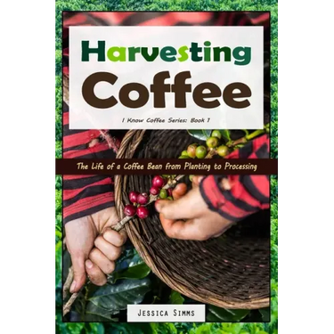 Harvesting Coffee: The Life of a Coffee Bean from Planting to Processing