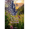 My Poetry Is The Beauty You Overlook