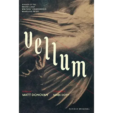 Vellum