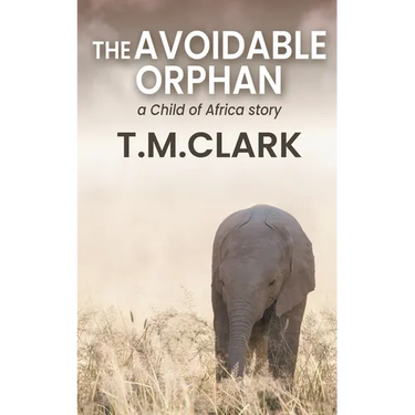 The Avoidable Orphan: a Child of Africa Story