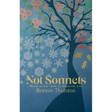 Not Sonnets: Observations from an Ordinary Life