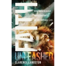Faith Unleashed: How Unquenchable Faith Can Ignite an Unstoppable Life