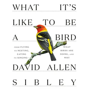 What It's Like to Be a Bird: From Flying to Nesting, Eating to Singing--What Birds Are Doing, and Why