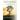Eco Bible: Volume 1: An Ecological Commentary on Genesis and Exodus