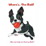 Where's ... The Ball? Who wan help me find the ball ?: book for baby 2 YEARS OLD Children's Dog Books