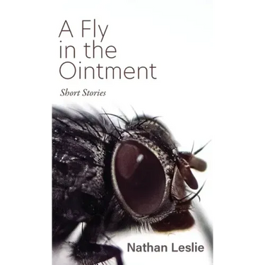 A Fly in the Ointment: Short Stories