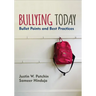 Bullying Today: Bullet Points and Best Practices