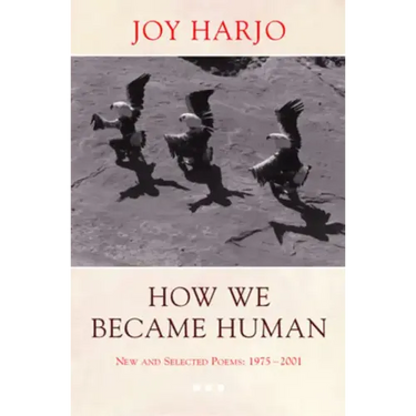 How We Became Human: New and Selected Poems 1975-2002