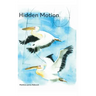 Hidden Motion