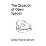 The Capacity of Open Spaces