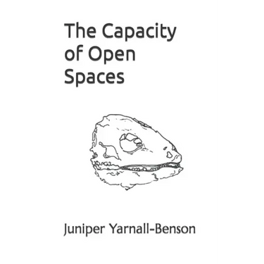 The Capacity of Open Spaces