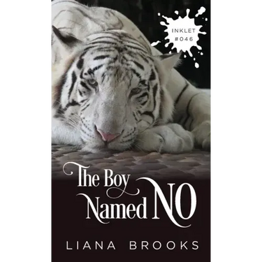 The Boy Named No