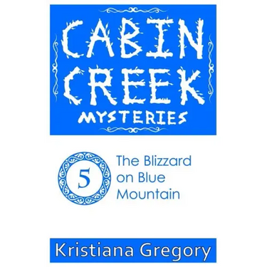 The Blizzard on Blue Mountain