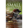 Believe in Small Miracles: Look for small miracles in your life.